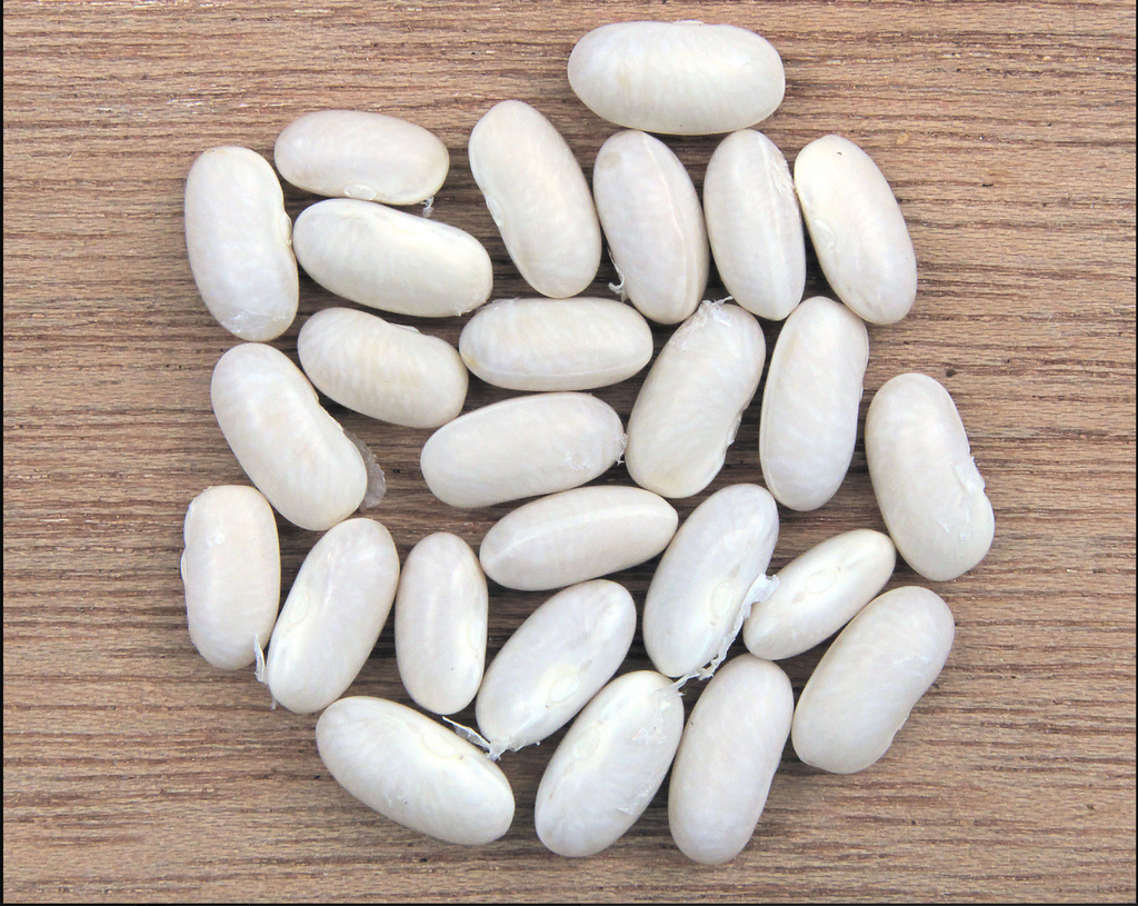 Organic Mountain Beans