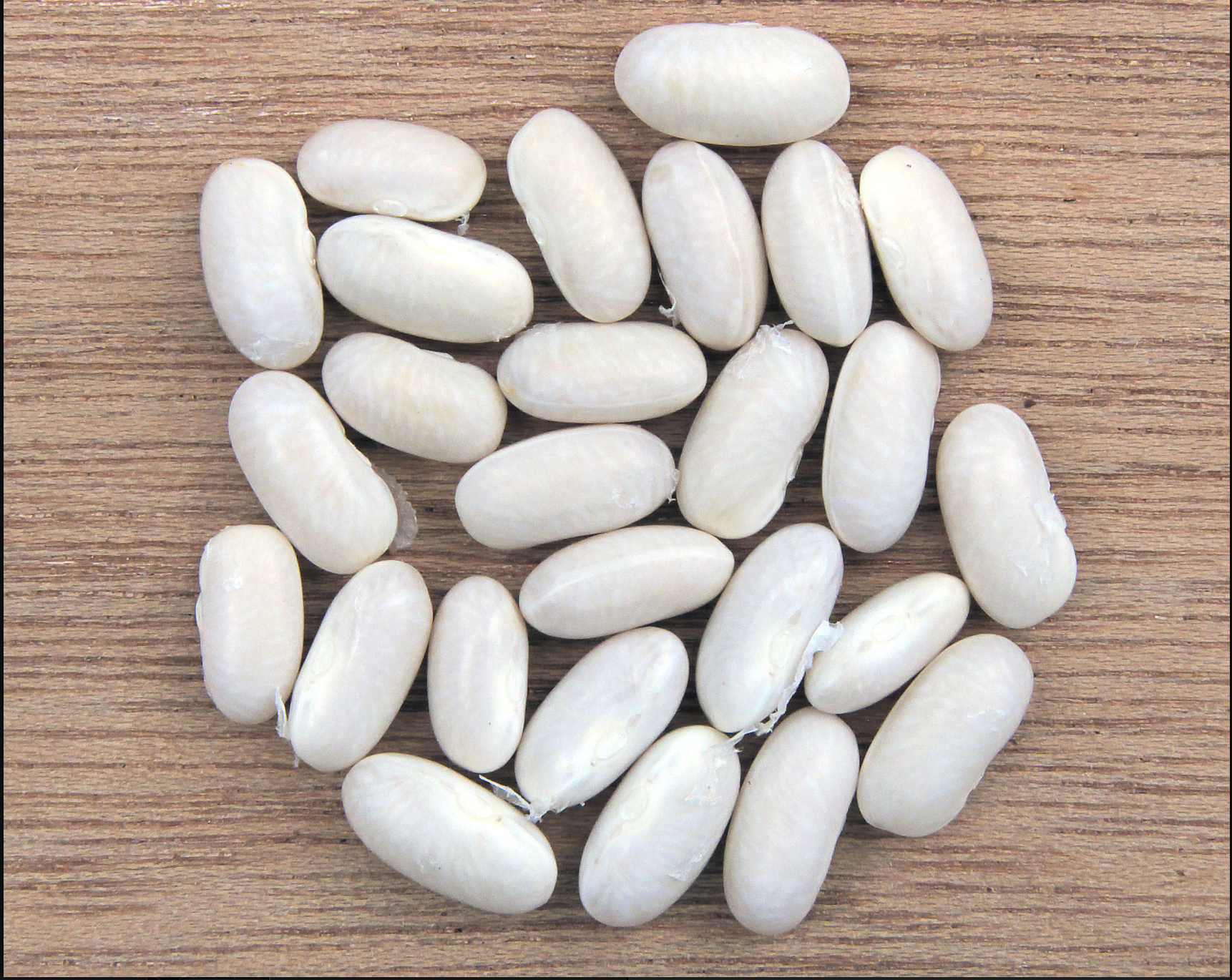 Organic Mountain Beans